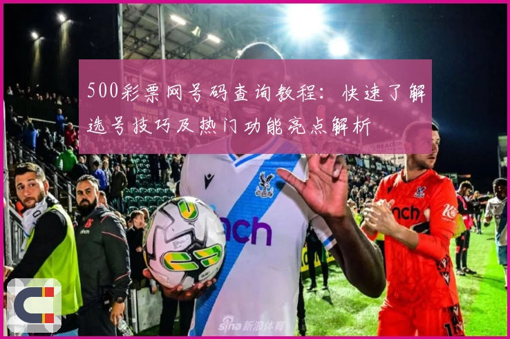 500彩票网号码查询教程：快速了解选号技巧及热门功能亮点解析