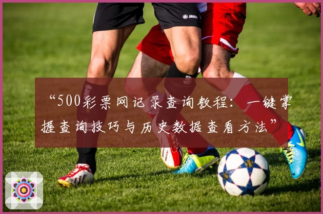 “500彩票网记录查询教程：一键掌握查询技巧与历史数据查看方法”