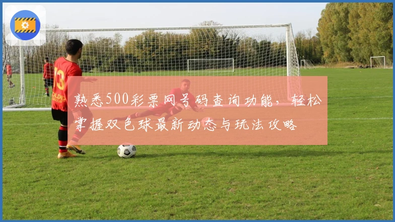 熟悉500彩票网号码查询功能，轻松掌握双色球最新动态与玩法攻略