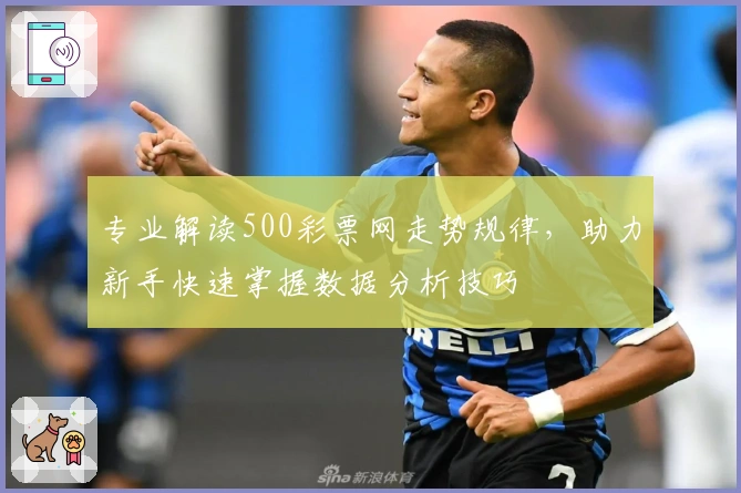 专业解读500彩票网走势规律，助力新手快速掌握数据分析技巧